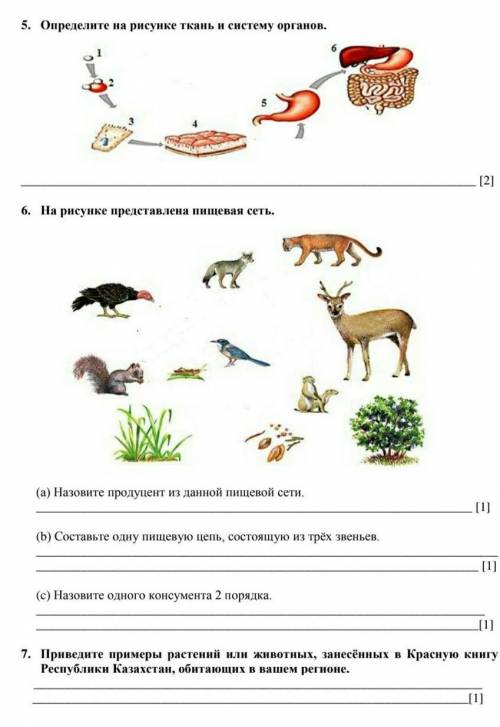 Определите на рисунки ткань и систему организмов​