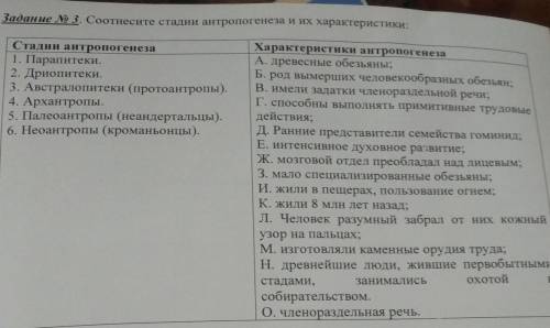 Соотнесите стадии антропогенеза и их характеристики.​