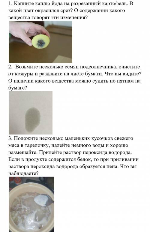 4. Сделайте вывод о содержании в продуктах питания органических веществ – белков, жиров и углеводов.