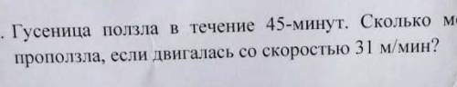 Гусеница ползла в течение 45 минут .Сколько метров она проползла если двигался со скоростью 31м/мин