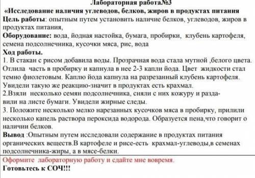 Оформите лаболаторную работу ​