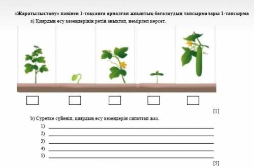 на казакском напишите и мне нужно как растёт огурцы на казакском напишите умоляю​