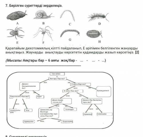 Берілген суретті зерделеңіз​