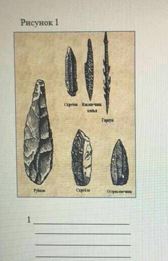 Рассмотрите иллюстрации и выполните задание определите орудий труда​