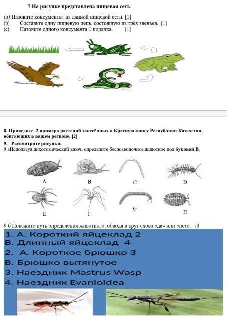 Как это скажите я незнаю​