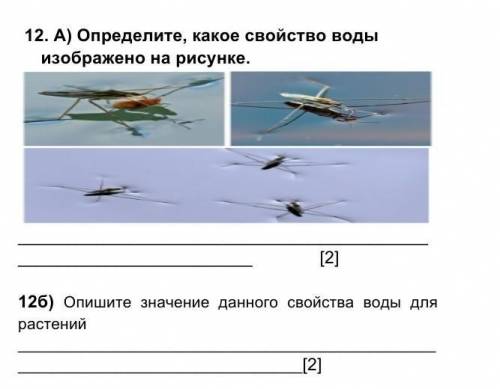 12. А) Определите, какое свойство воды изображено на рисунке. [2]12б) Опишите значение данного свой