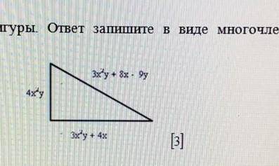 нужно найти периметр треугольника и ответ записать в виде многочлена​