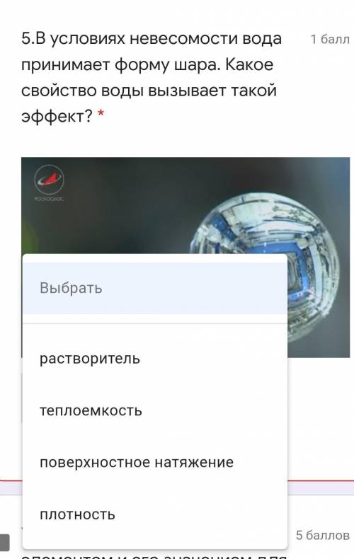 пипец чо из этого правильно ?