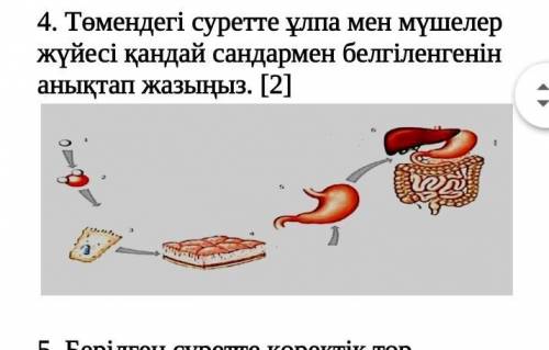 . на рисунке ниже показано, какими цифрами обозначены ткань и система органовопредели и запиши​