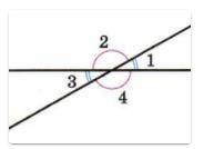На рисунке изображены две пересекающиеся прямые. Как называются углы 1 и 3?