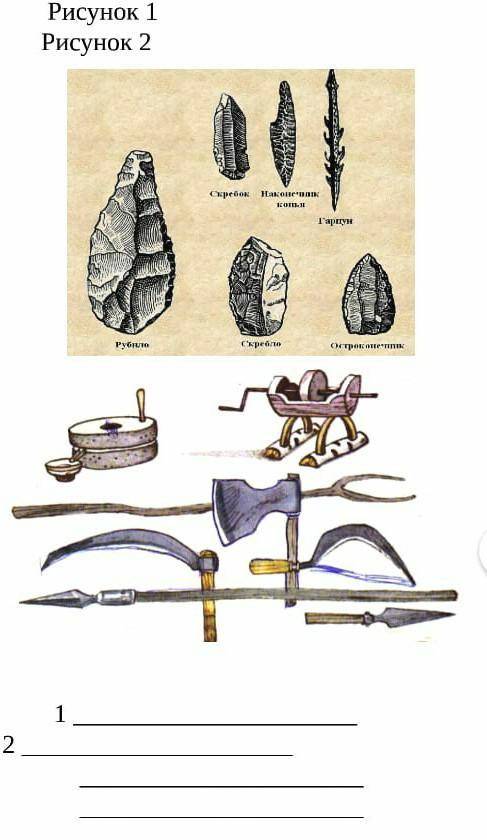 6.Рассмотрите иллюстрации и выполните задание: 1) Определите назначение орудий труда. 2) Опишите раз