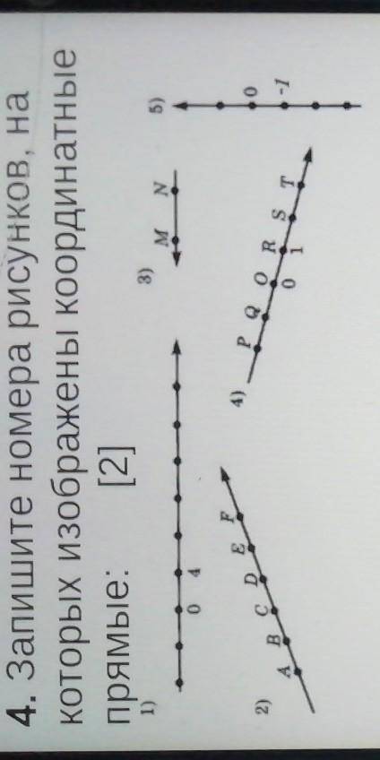 4. Запишите номера рисунков, накоторых изображены Координатныепрямые:[2]