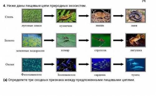 Даны пищевые цепи природных экосистем. (а) Определите три сходных признака между предложенными пищев