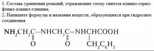 ​жуликов в бан. Тема Пептидная связь. Образование белков. 11 класс