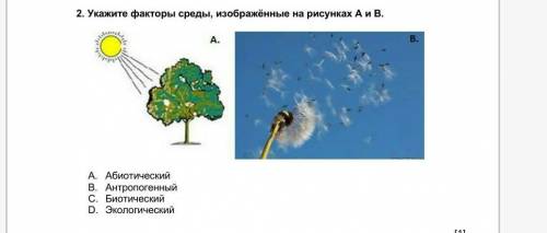 Укажите факторы среды, изображённые на рисунках А и В. A. АбиотическийB. АнтропогенныйC. Биотический