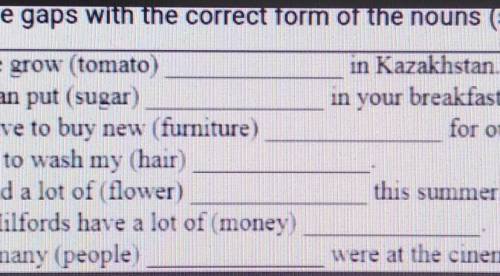 Fill the gaps with the correct torm ot the nouse (singular or plural)​