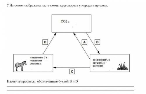 буду очень благодарна надо​