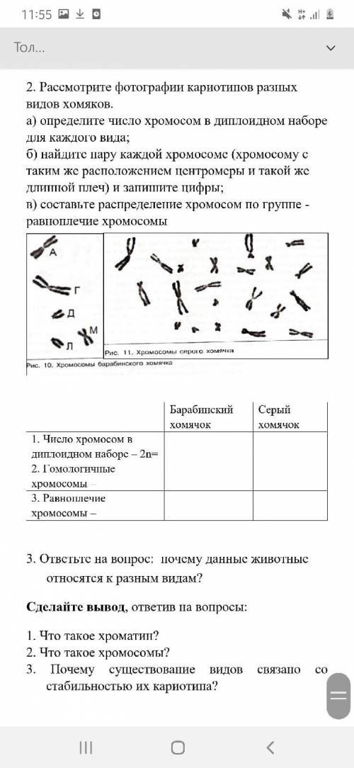 Рассмотрите фотографии кариотипов разных ВИДОВ хомяков. а) определите число хромосом в диплоидном на