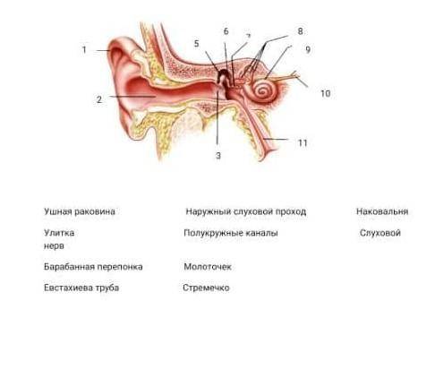 Сделайте нужны названия а чифрам​