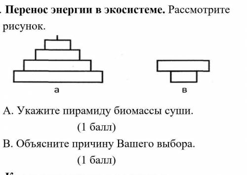 Перенос энергии в экосистеме рассмотрите рисунок ​