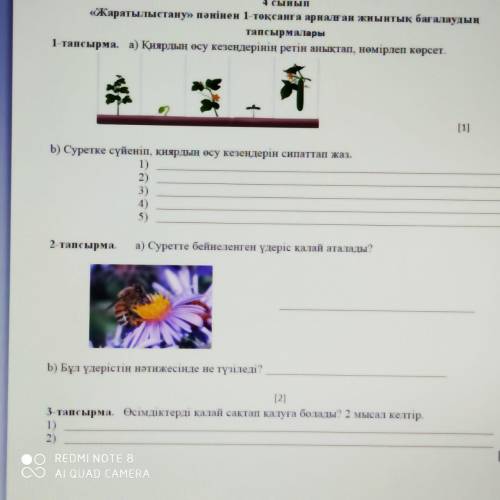 Суретке сүйеніп қиярдын осу кезендерін сипаттап жаз , дайте ответы