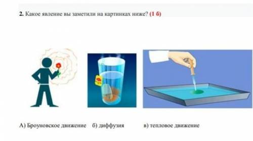 2. Какое явление вы заметили на картинках ниже? (16) >А) Броуновское движение б) диффузияв) тепло