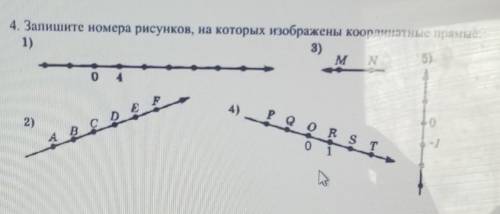 4. Запишите номера рисунков, на которых изображены координатные прямые