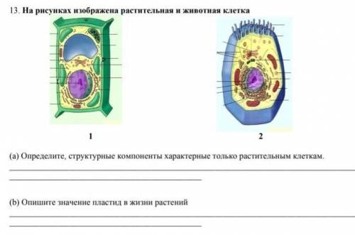 Ребят уже 3 раз задаю вопрос, никто не отвечает