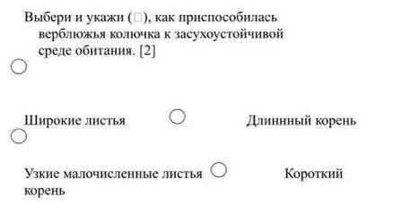 Выбери и укажи,как при верблюжья колючка к засухоустойчивой среде обитания​