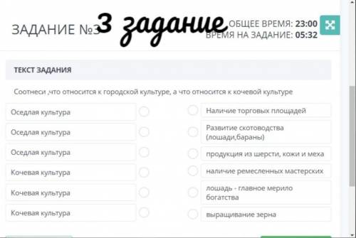 С ЗАДАНИЯМИ НА СОЧ Осталось 20 минут