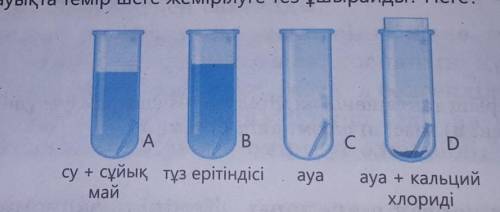 Қай сынауықта темір шеге жемірілуге тез ұшырайды? Неге?​