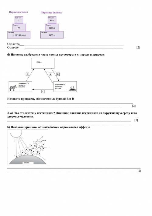 СОЧ по биологии. Кто не знвет как делать не пишите!