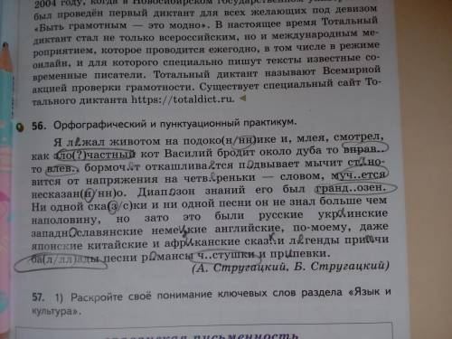 6 класс,родной русский язык,номер нужно на завтра!