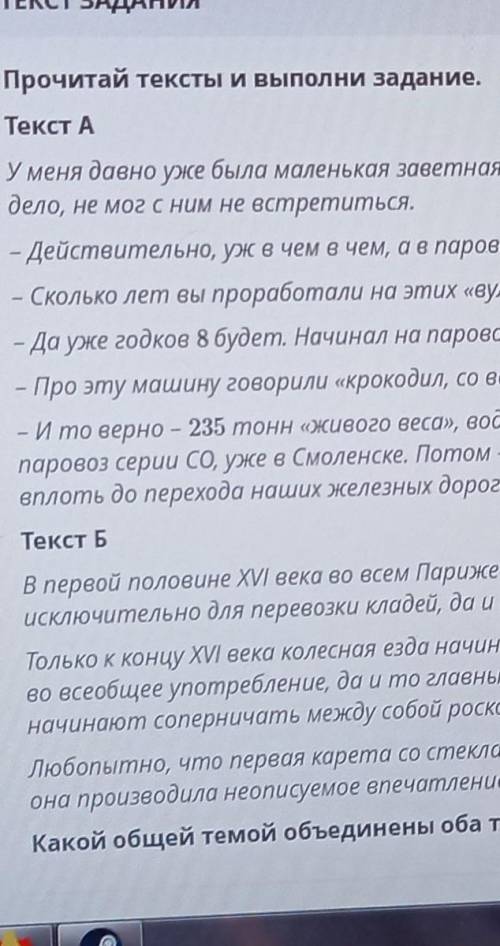 Как сделать? это соч по русс яз​