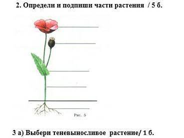 СОР 2 КЛАСС 2 ЗАДАНИЕ​