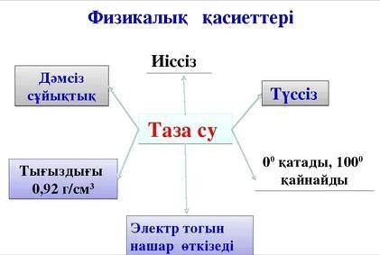 Судын касиеттерин аныктаныз​