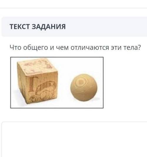 Что общего и чем отличаются эти тела?￼​