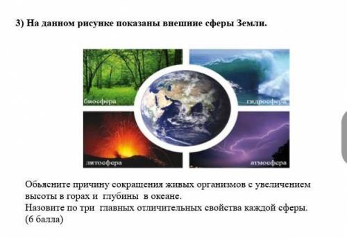 3. На данном рисунке показаны внешние сферы Земли. Объясните причину сокращения живых организмов с у