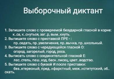 сделайте правильно умоляю. По вариантам на фото . сделайте по Русскому Выборочный диктант там задани