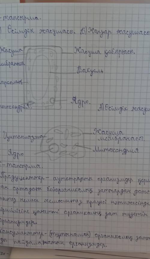 Г.Наружные покровы представлены ... (однослойным,двухслойным,трехслойным) ... д. Скелет морских звез