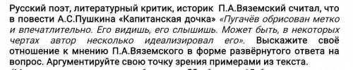 Выскажите свое отношение к мнению Вяземского. Аргументируйте свою точку зрения примерами из текста​