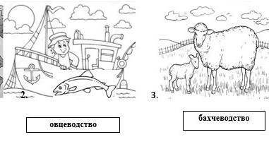 На картинках изображены некоторые виды хозяйственной деятельности. Найди соответствие видов хозяйств