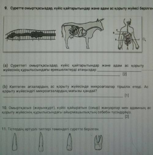 ТЖБ 8 СЫНЫП БИОЛОГИЯ КОМЕК КЕРЕК 9 10 11​