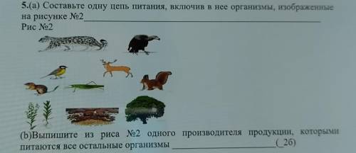 5.(а) Составьте одну цепь питания, включив в нее организмы, изображенные на рисунке(b)Выпишите из ри