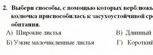 выбери с которых верблюжья колючка при к засухоустоичивой среде обитания ​