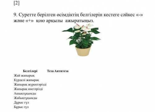 Суретте берилген осимдиктин белгилерин кестеге сайкес- жане+ кою аркылы ажыратыңыз ​