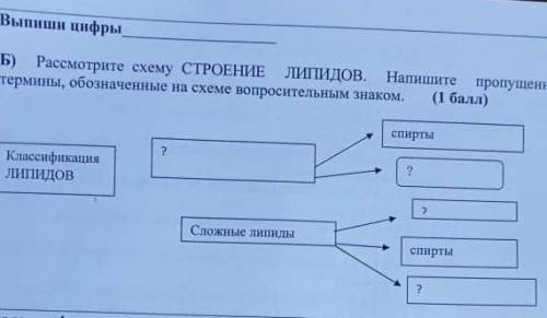 Б) Рассмотрите схему СТРОЕНИЕ ЛИПИДОВ. Напишите пропушенные термины, обозначенные на схеме вопросите