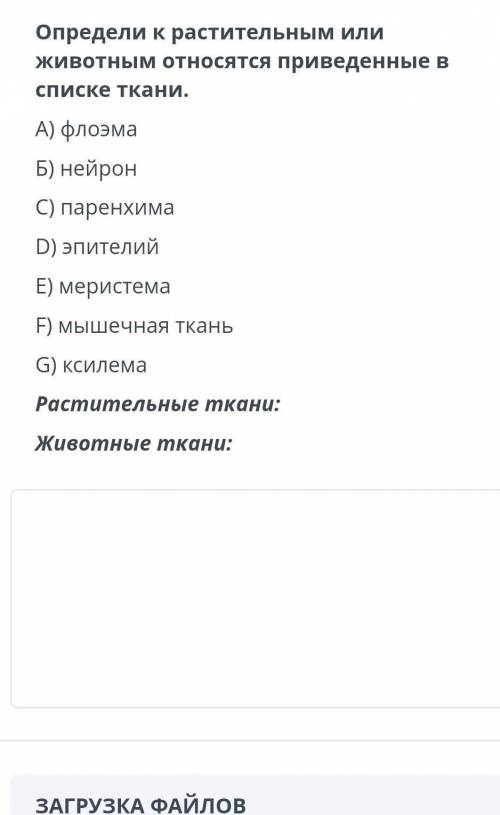 Определи к растительным или животным относятся приведенные в списке ткани. A) флоэма Б) нейрон C) па