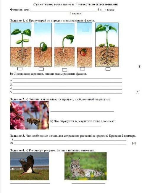 соч 4 класс естествознания ​