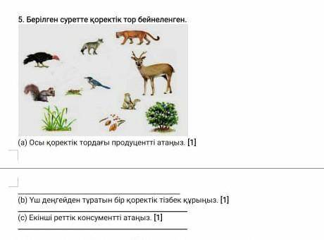 5 задание нужно сделать